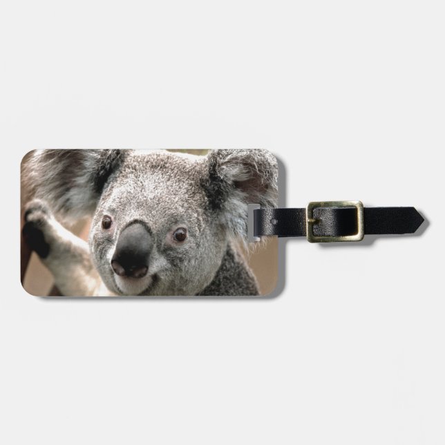 Etiqueta De Bagagem Koala (Frente Horizontal)