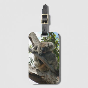 Etiqueta De Bagagem Koala - Dormindo