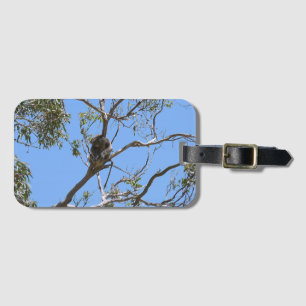 Etiqueta De Bagagem Koala Nap