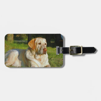 Etiqueta De Bagagem Labrador retriever amarelo