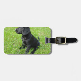 Etiqueta De Bagagem Labrador Retriever Preto na Grama