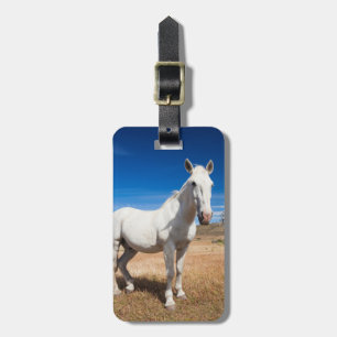 Etiqueta De Bagagem Laguna Azul, paisagem com cavalos