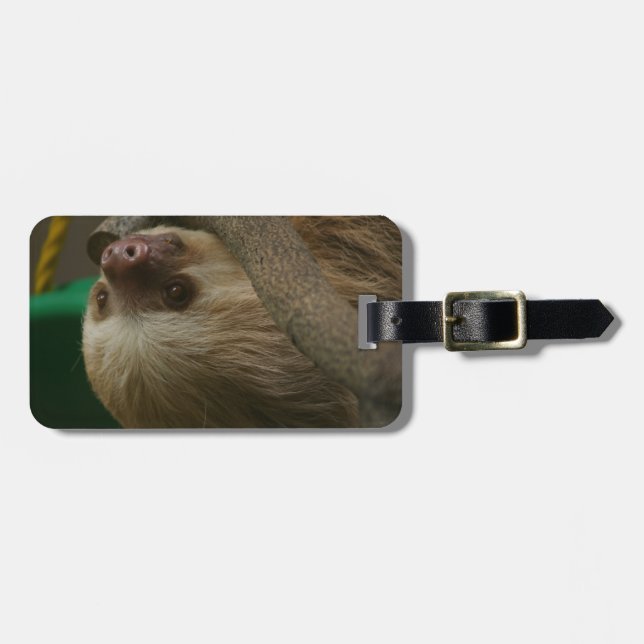 Etiqueta De Bagagem Lama (Frente Horizontal)