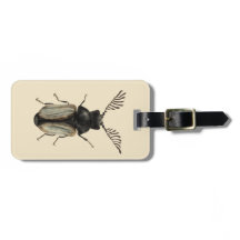 Legal arte de entomologia do amante de insetos