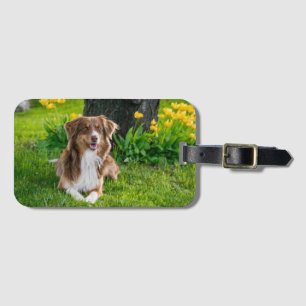 Etiqueta De Bagagem Lembrança Personalizada de Foto de Pet Para Amante