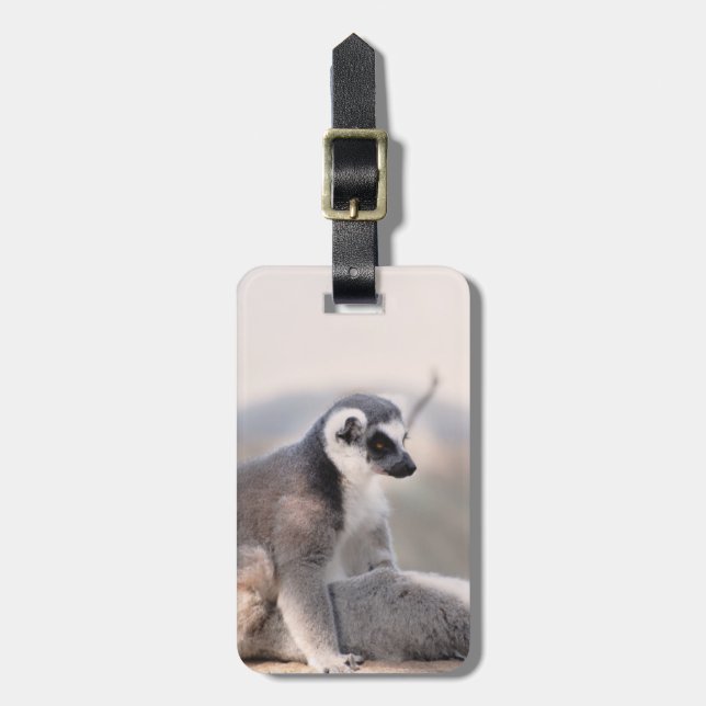 Etiqueta De Bagagem Lemur em Madagascar (Frente Vertical)