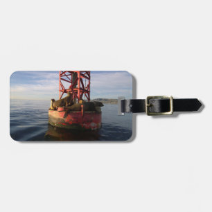Etiqueta De Bagagem Leões do Mar Relaxando em uma Buoy no Ponto Dana
