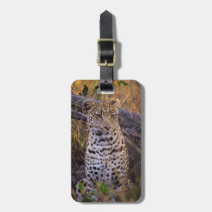 Etiqueta De Bagagem Leopardo sentado, Botsuana, África