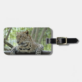Etiqueta De Bagagem LeopardSundari_007
