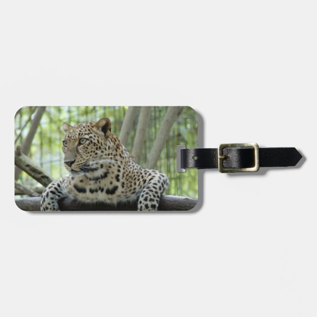 Etiqueta De Bagagem LeopardSundari_007 (Frente Horizontal)