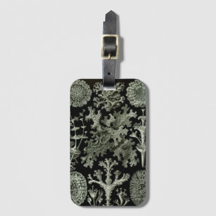 Etiqueta De Bagagem Lichen por Ernst Haeckel, Plantas Naturais Vintage
