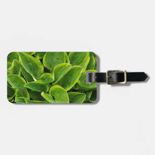 Etiqueta De Bagagem Linda planta verde-hosta