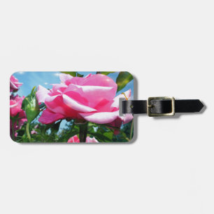 Etiqueta De Bagagem Linda rosa cor-de-rosa no céu azul. Fotografia flo