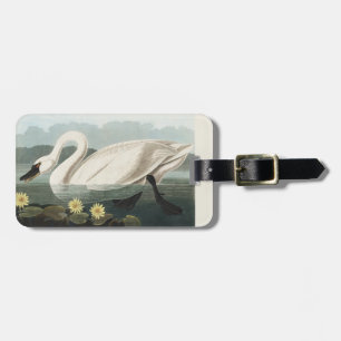 Etiqueta De Bagagem Lírio d'água Cisne Branco Audubon Vintage Arte