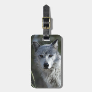 Etiqueta De Bagagem Lobo em Yellowstone