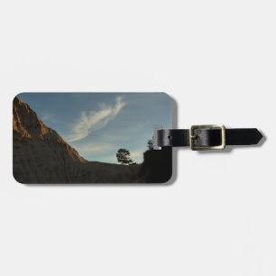 Etiqueta De Bagagem Lone Torrey Pine California Sunset Landscape