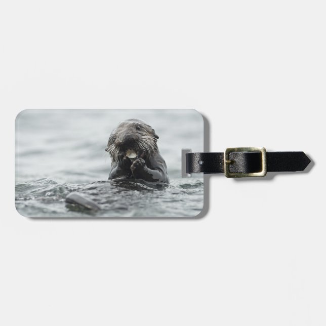 Etiqueta De Bagagem Lontra do Mar Adorável (Frente Horizontal)