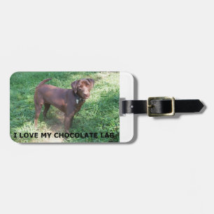 Etiqueta De Bagagem LR chocolate lab love with picture