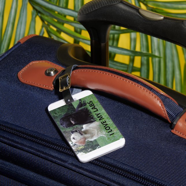 Etiqueta De Bagagem LR I Love My Labs with picture (Frente Insitu 1)