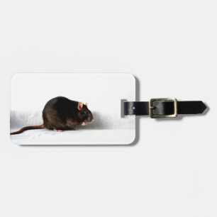 Etiqueta De Bagagem Ltcn Detalhes Personalizáveis do Rat