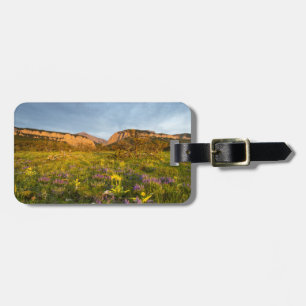Etiqueta De Bagagem Luzes do nascer do sol Blackleaf Canyon