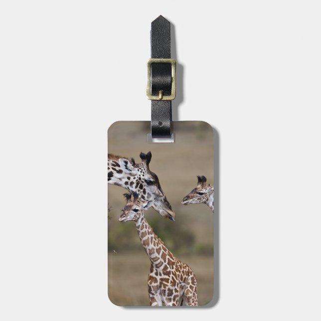 Etiqueta De Bagagem Maasai Giraffe (Giraffe Tippelskirchi) (Frente Vertical)