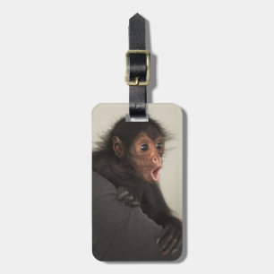 Etiqueta De Bagagem Macaco-aranha-de-cara-vermelha Ateles paniscus)
