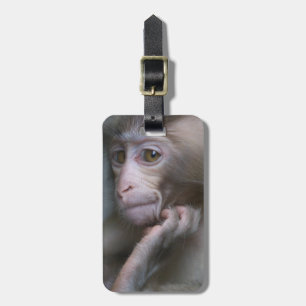 Etiqueta De Bagagem Macaco-Bebê