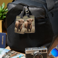 **"Majestade Furry: A Vaca do Planalto Wooly Brown