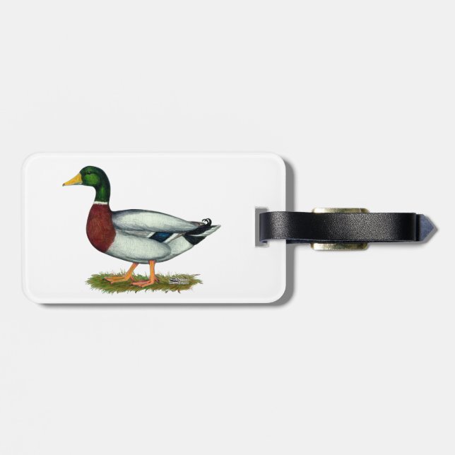 Etiqueta De Bagagem Mallard Duck Drake (Traseira Horizontal)