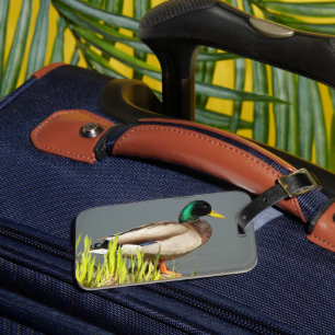 Etiqueta De Bagagem Mallard Duck Wildlife Photo