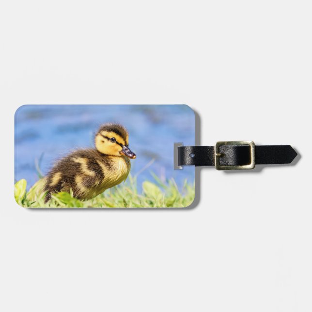 Etiqueta De Bagagem Mallard Duckling (Frente Horizontal)