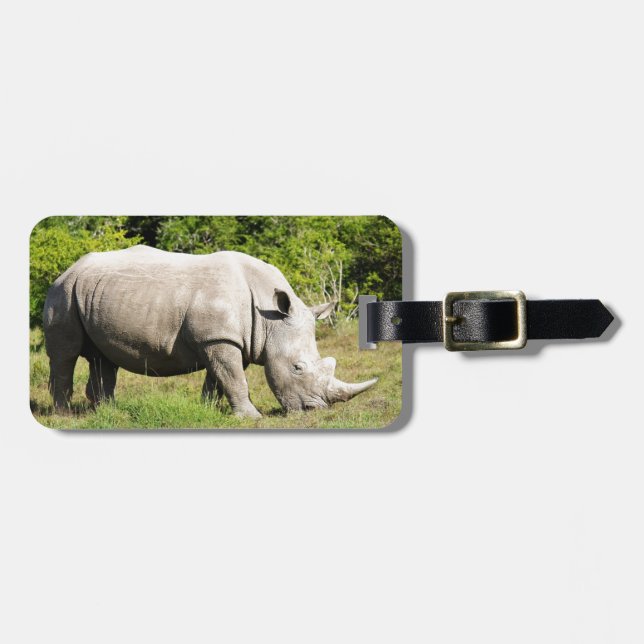 Etiqueta De Bagagem Manchando um rinoceronte que alimenta enquanto no (Frente Horizontal)