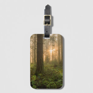 Etiqueta De Bagagem Manhã nevoenta noroeste pacífica da floresta