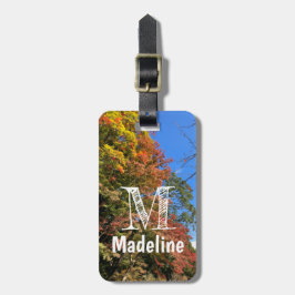 Etiqueta De Bagagem Mapeamentos Coloridos Vibrantes