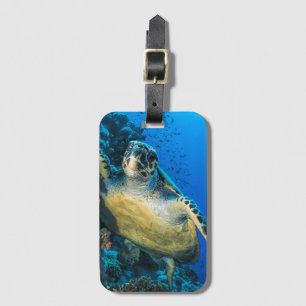 Etiqueta De Bagagem Mar Vermelho da tartaruga de mar verde  