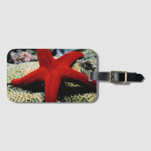 Etiqueta De Bagagem Mar Vermelho dos peixes da estrela