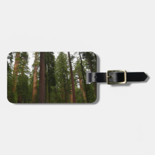 Etiqueta De Bagagem Mariposa Grove no Parque Nacional Yosemite