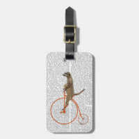 Meerkat em Orange Penny Farthing