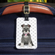 Menina Cute Mini Schnauzer