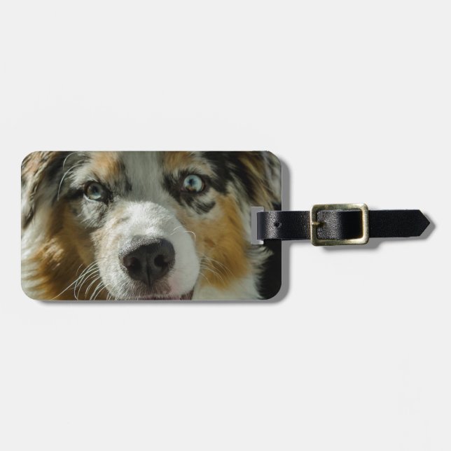 Etiqueta De Bagagem Menino do palhaço (Frente Horizontal)