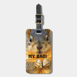 Etiqueta De Bagagem MEU SACO, Squirrel Love