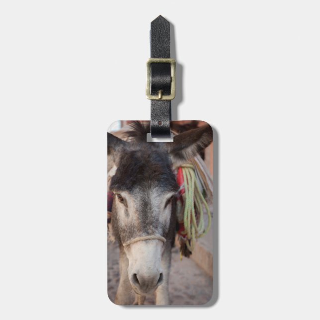 Etiqueta De Bagagem México, San Miguel De Allende 2 (Frente Vertical)