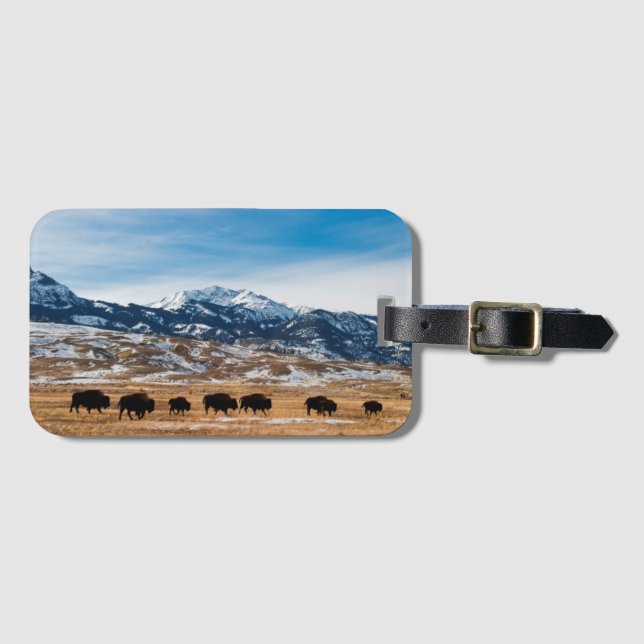 Etiqueta De Bagagem Migração do bisonte (Frente Horizontal)
