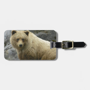 Etiqueta De Bagagem Natureza do destino dos animais de Alaska do urso