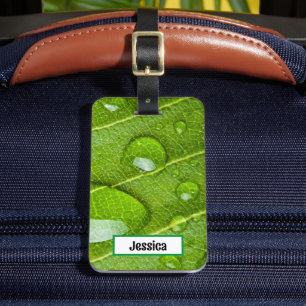 Etiqueta De Bagagem Natureza Única das Raindrosófilas de Folha Verde