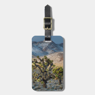 Etiqueta De Bagagem Neve No Vale Da Morte