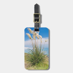 Etiqueta De Bagagem Nova Zelândia, Ilha do Norte, Cabo Reinga