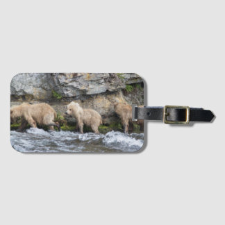 Etiqueta De Bagagem O Cubs em quedas dos ribeiros - Tag 2 de 128