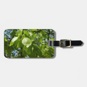Etiqueta De Bagagem O vidoeiro do primavera sae da árvore verde